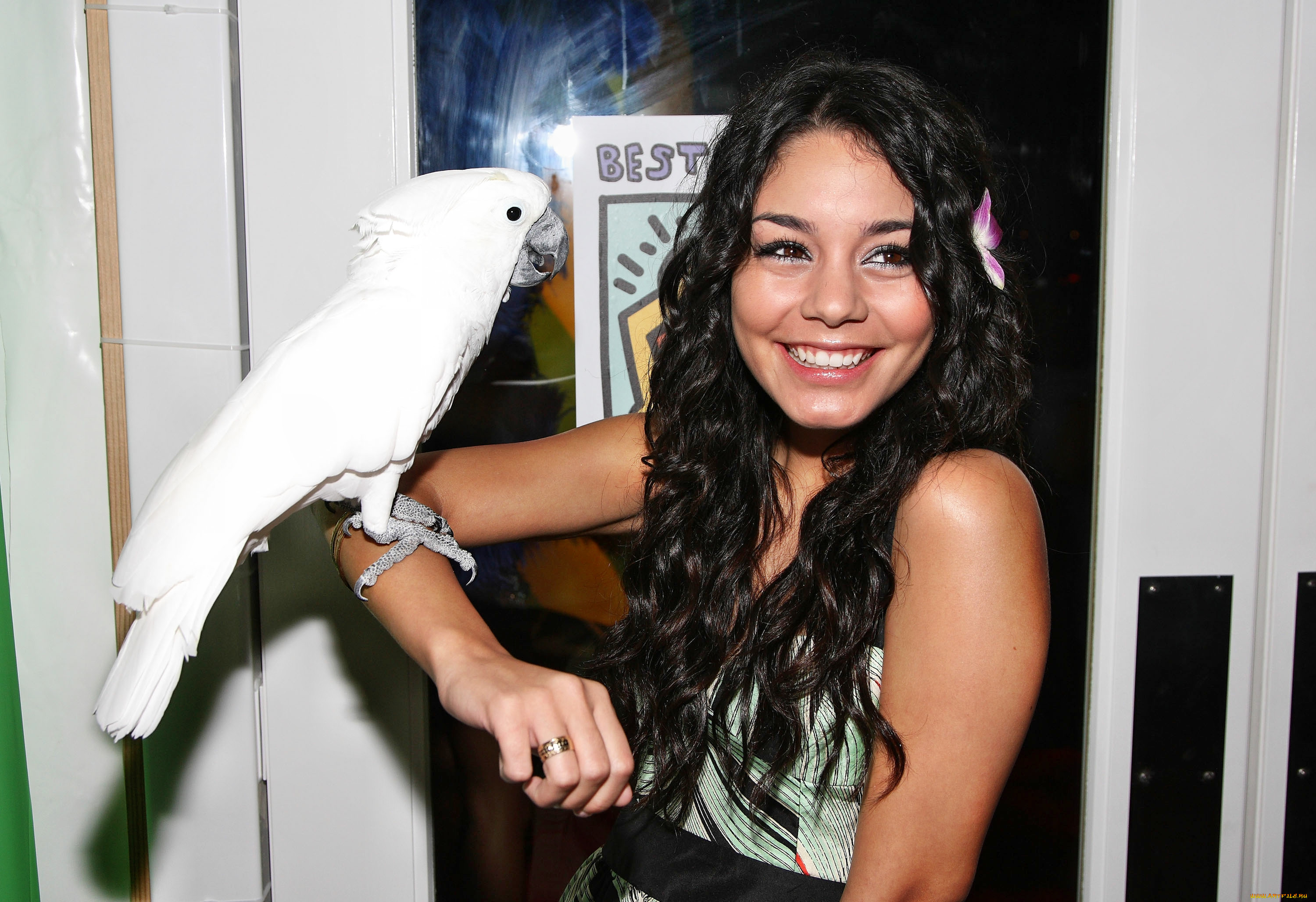 Vanessa Hudgens, , , , 